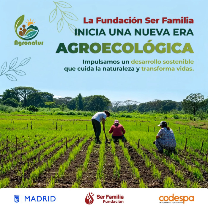 noticiasweb-03