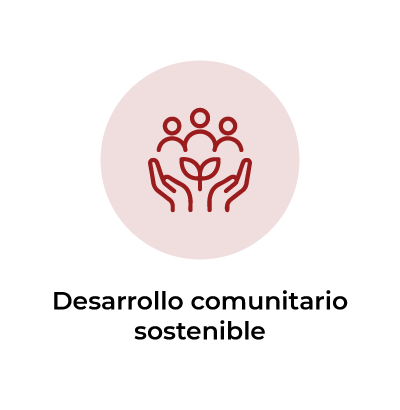 ICONOS PARA DONACION-04
